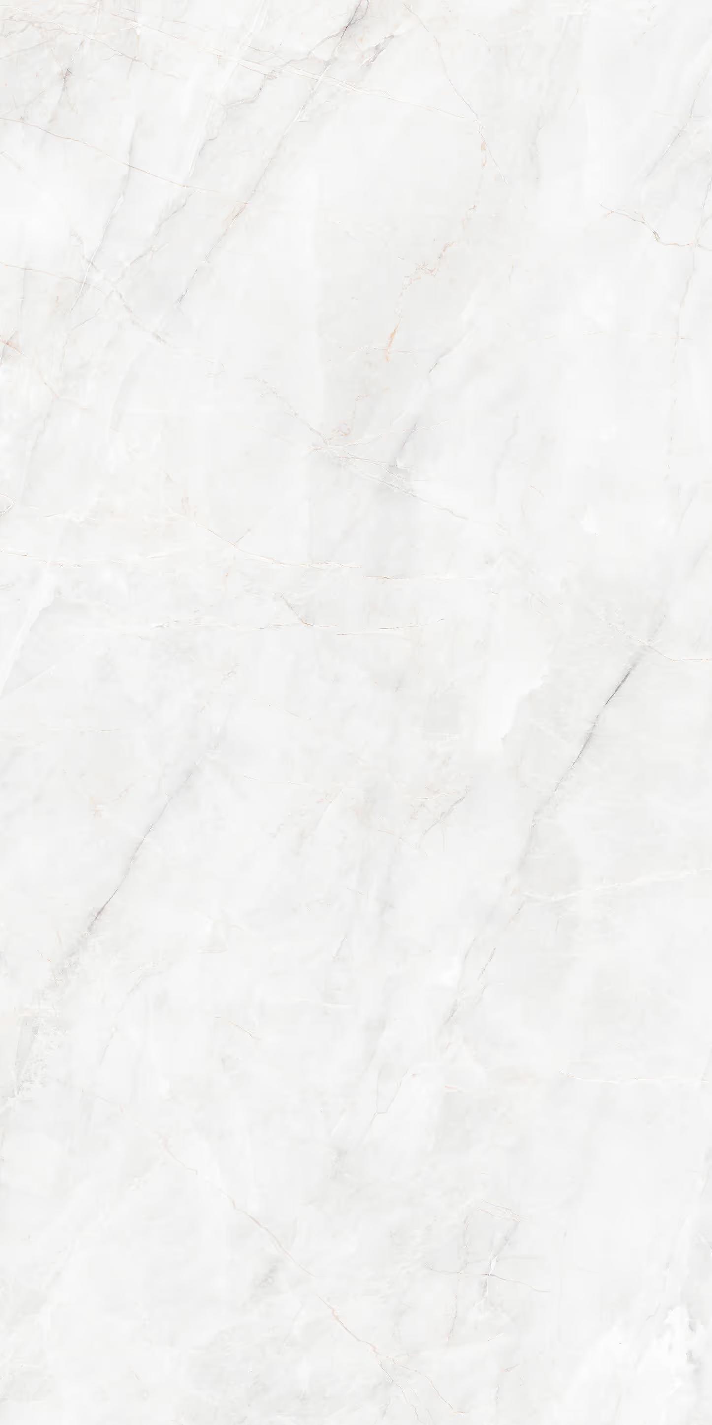 Tile Face  Montale White SS1261315