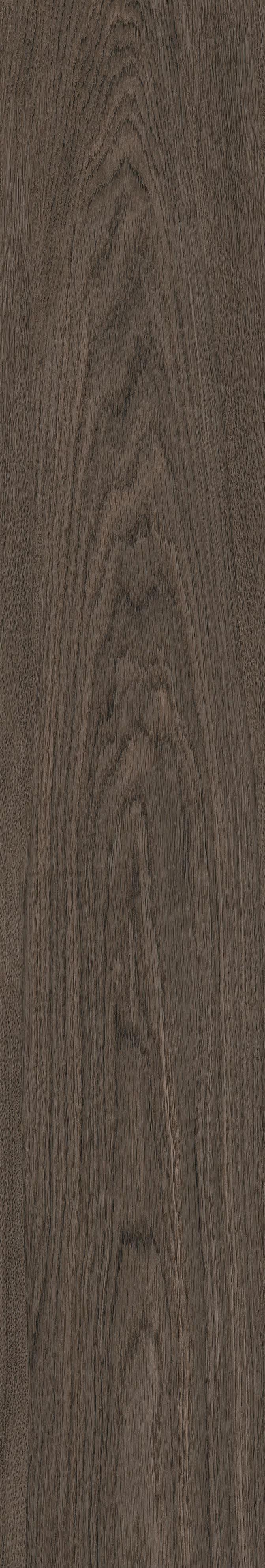 Tile Face  Bore Oscuro MC1223003
