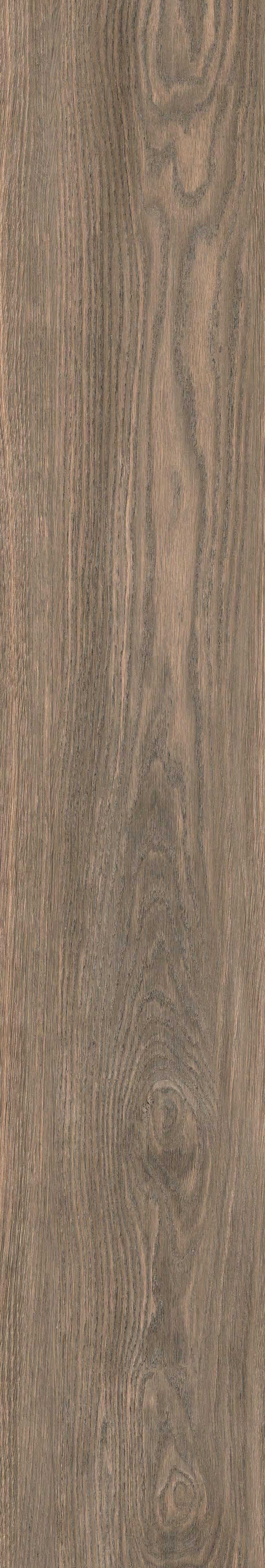 Tile Face  Fornelli Beige MC1221033