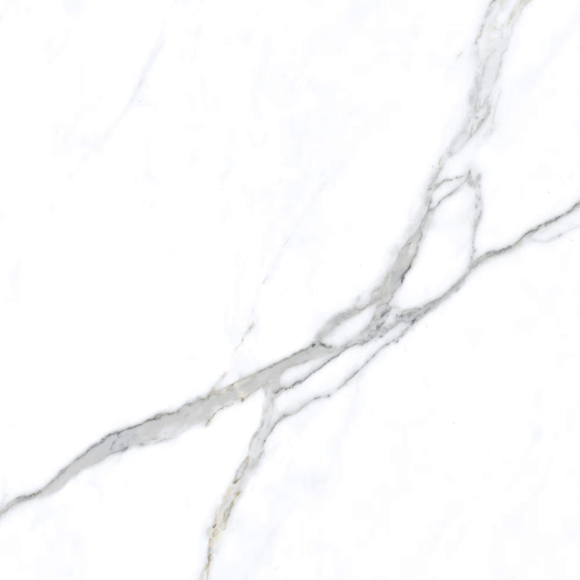 Tile Face  Statuario Bianco  GS66109