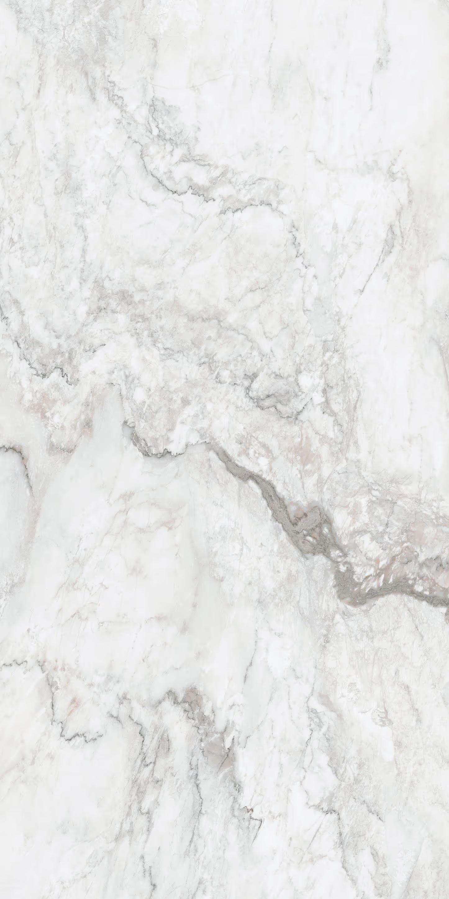 Tile Face  Accadia Gris SS1261308