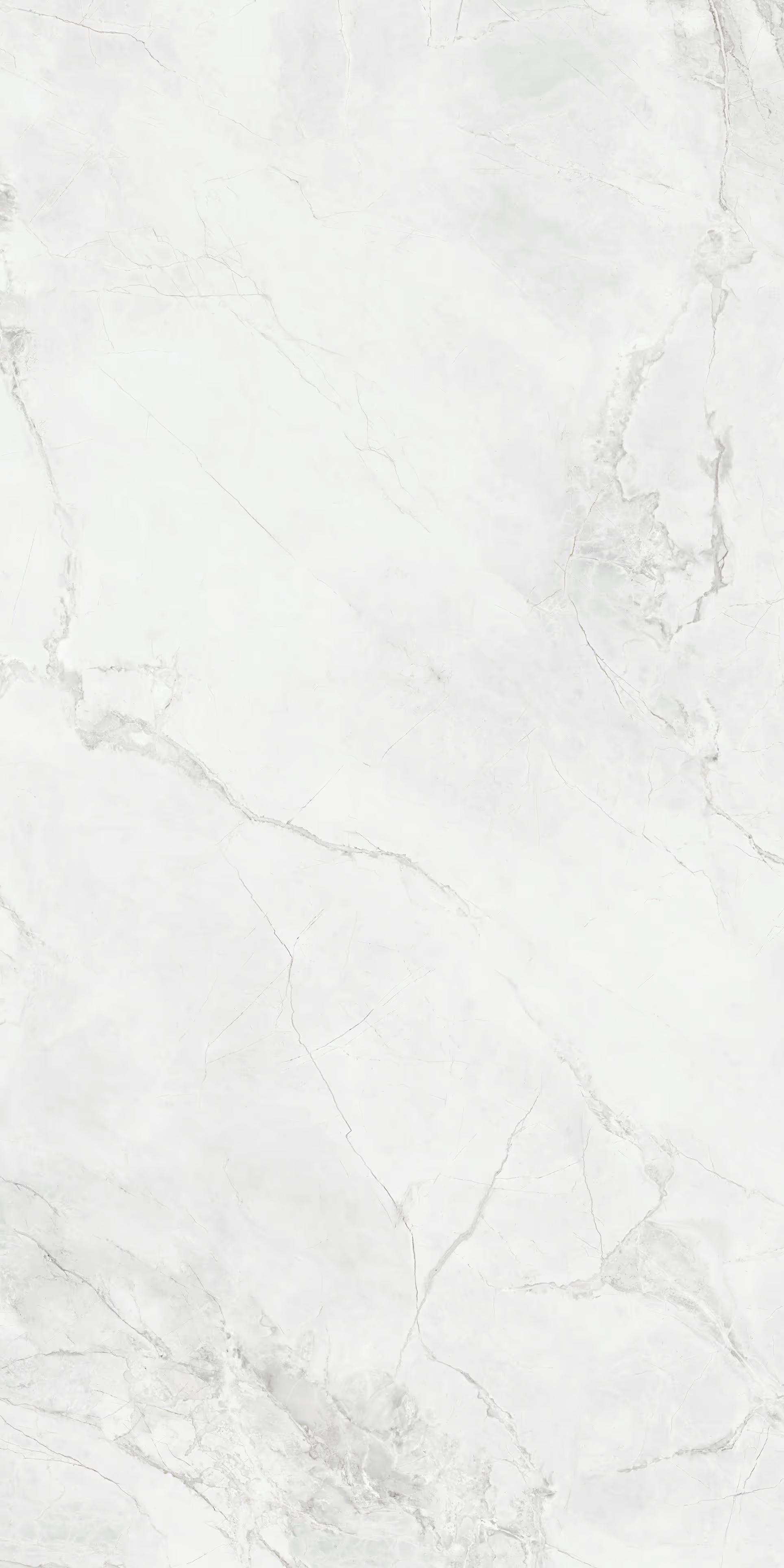 Tile Face  Ornica Bianca SS1261310