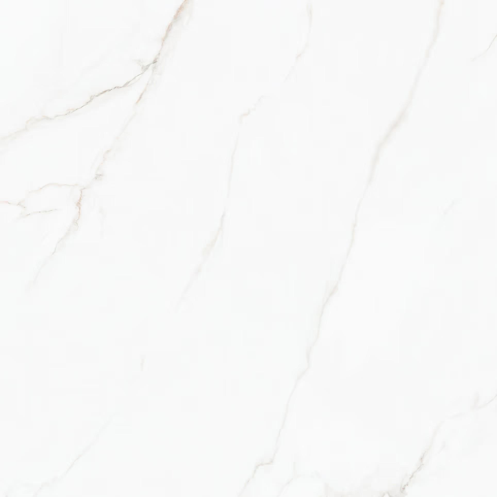 Tile Face  Serri White SS1261312