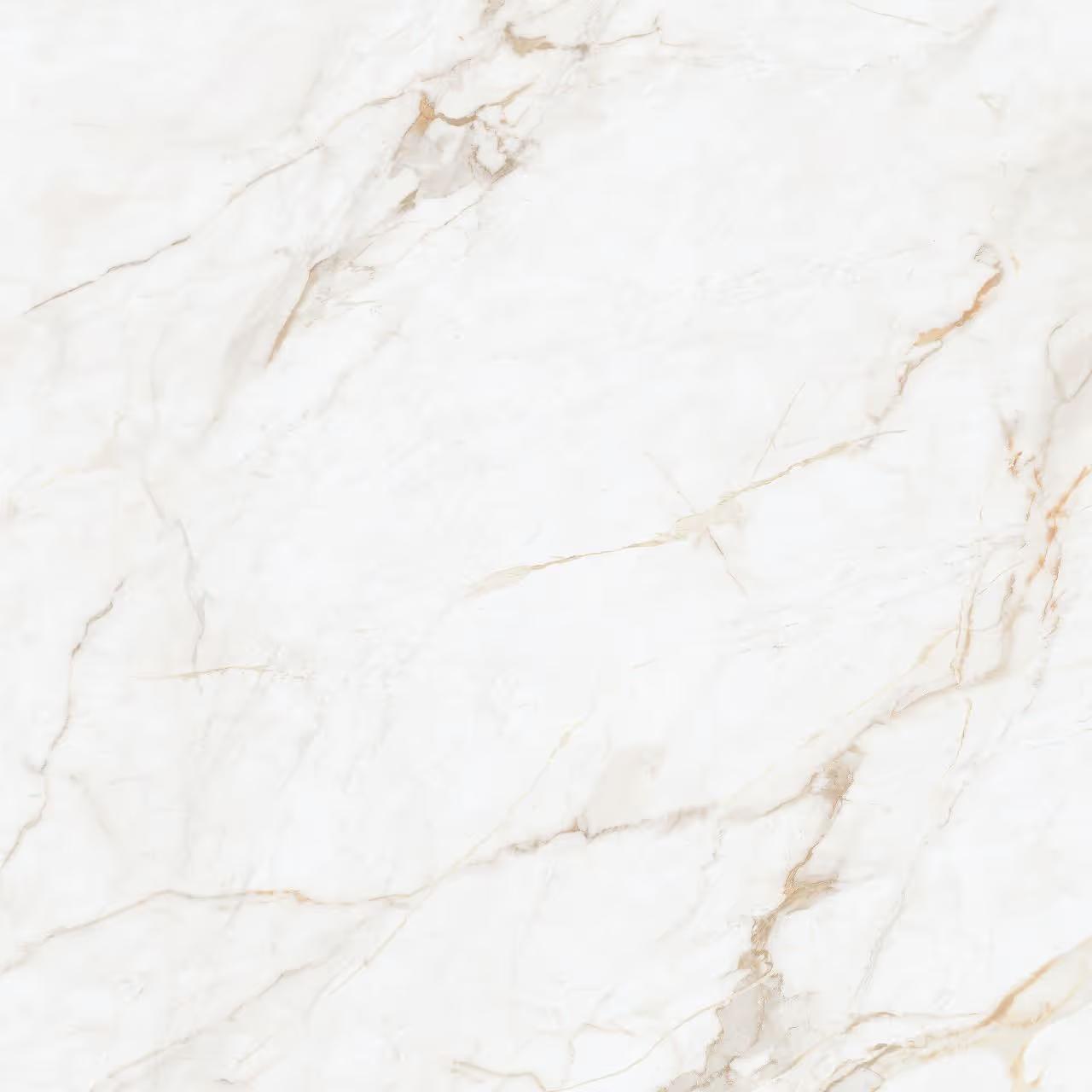 Tile Face  Seed White Seed White
