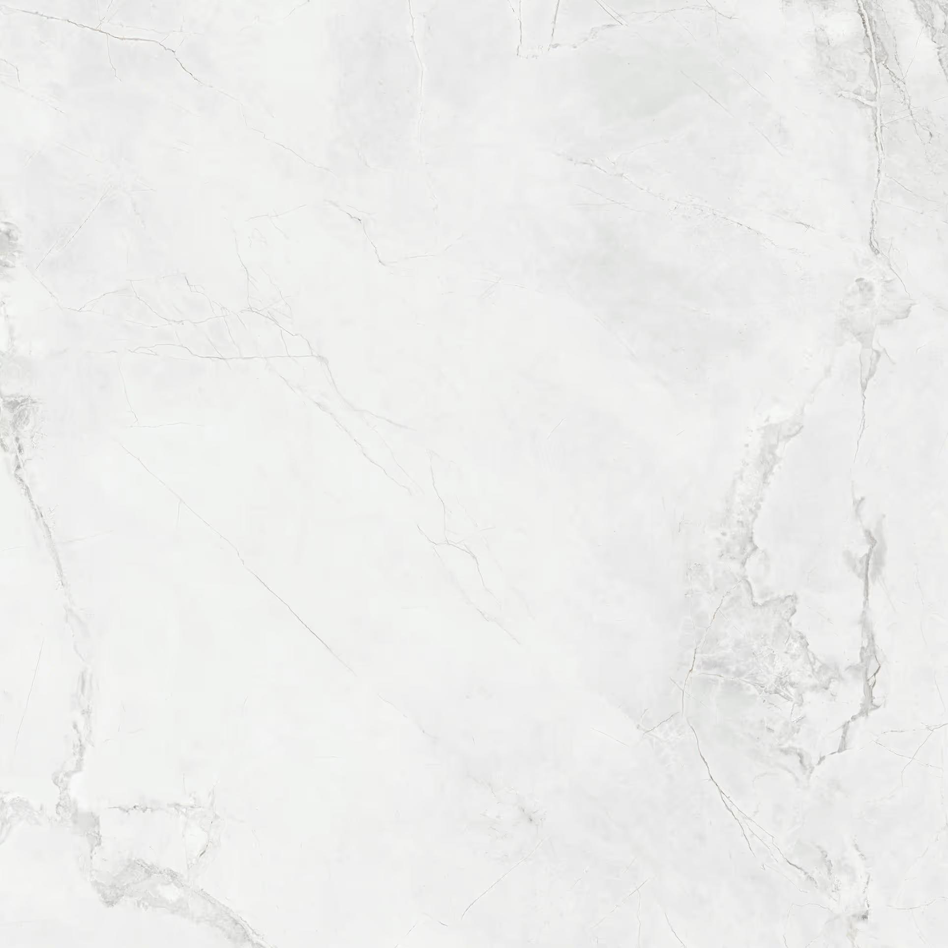 Tile Face  Ornica Bianca ss661310