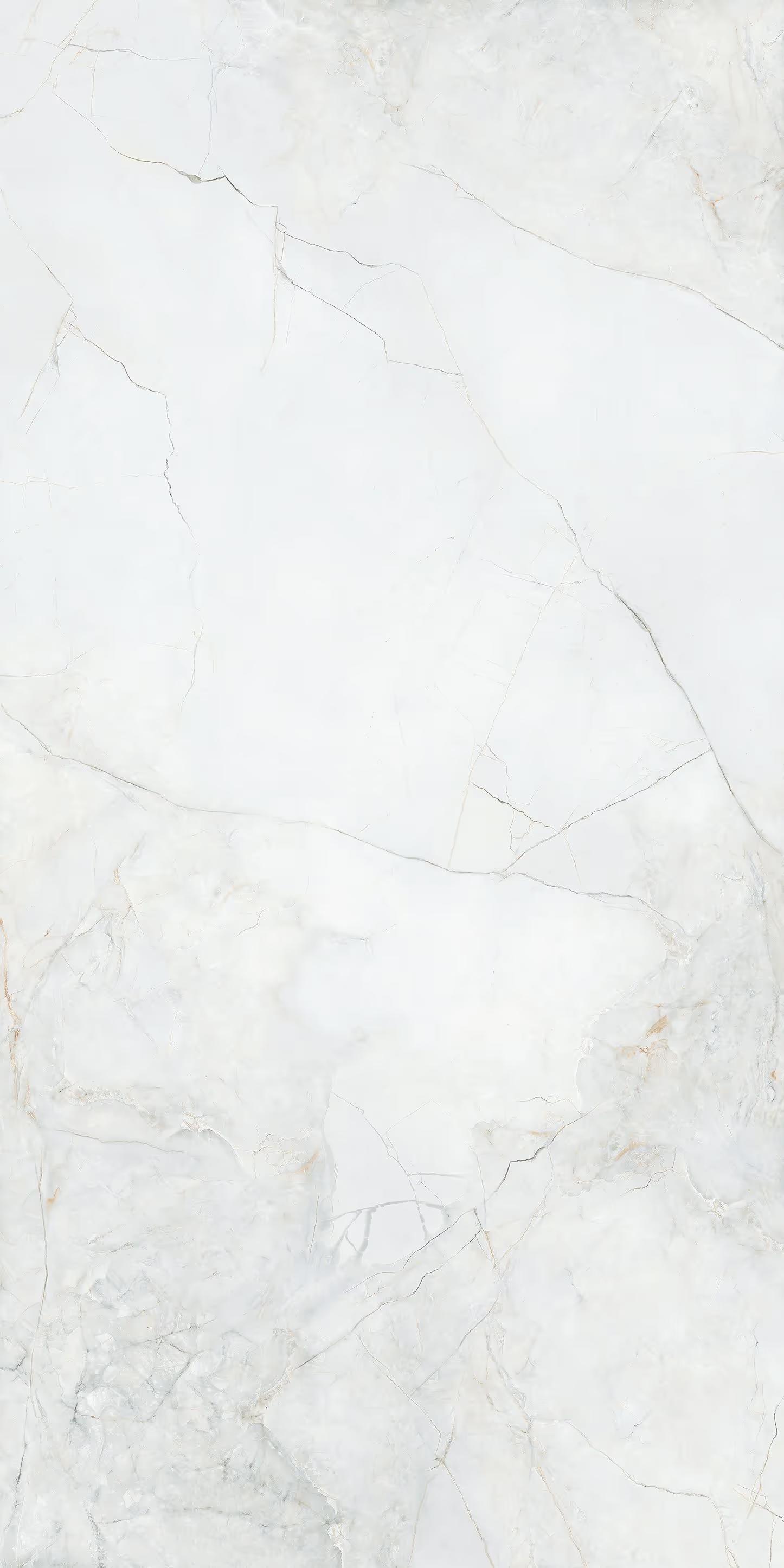 Tile Face  Iceberg White SS1261311