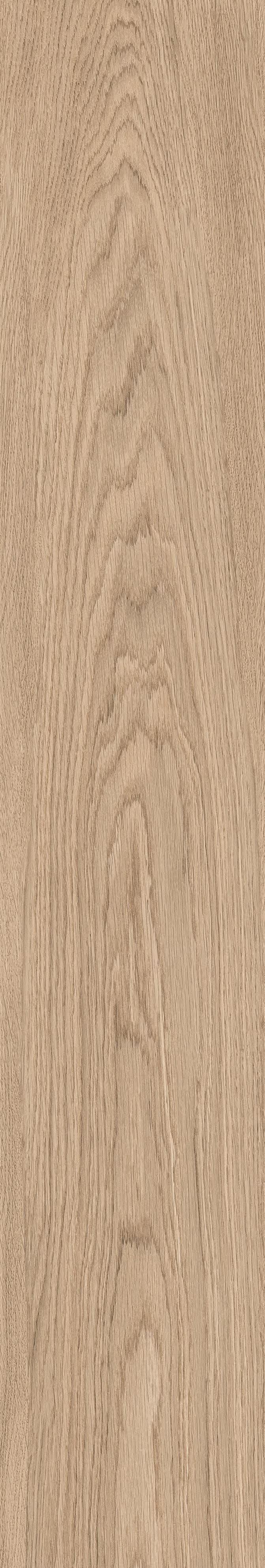 Tile Face  Bore Naturale MC1221019