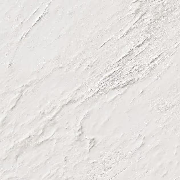 Tile Face  Cardera Bianca CARDERA BIANCA