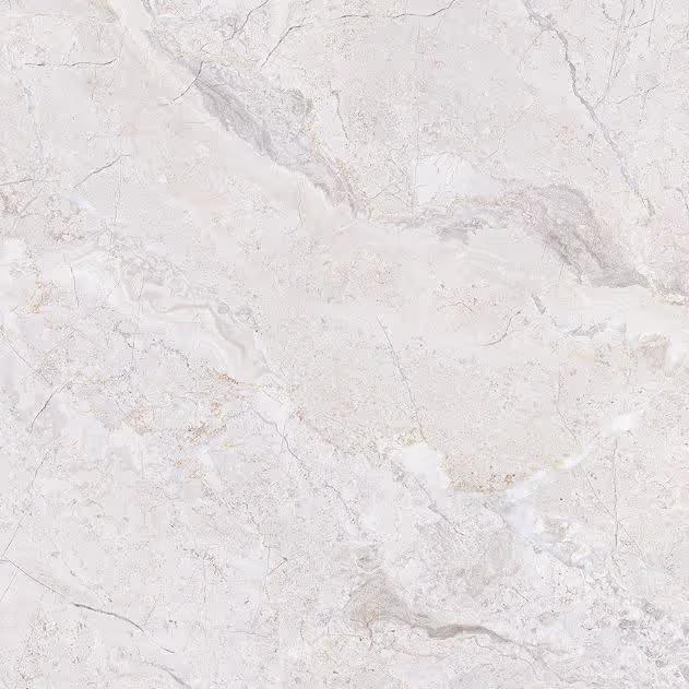 Tile Face  Marmolada Gris GS881042