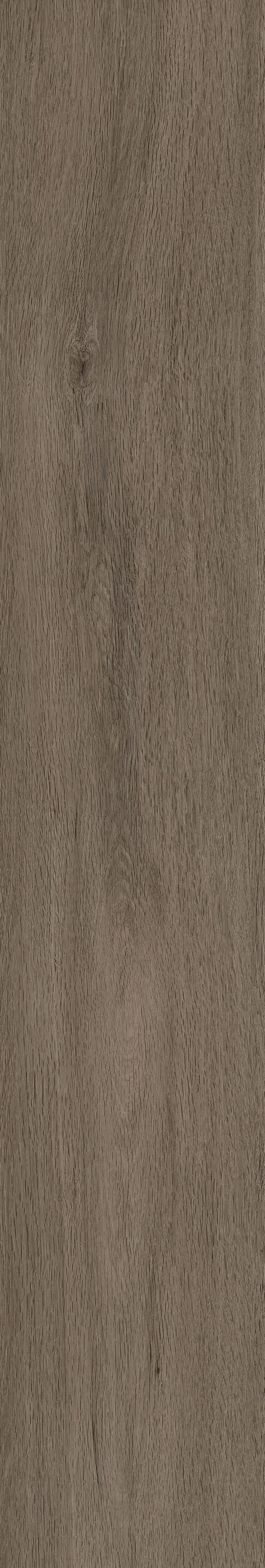 Tile Face  Cipressa Brown  MC1221029