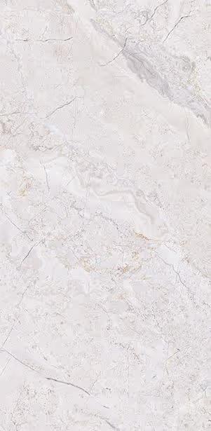 Tile Face  Marmolada Gris GS481042