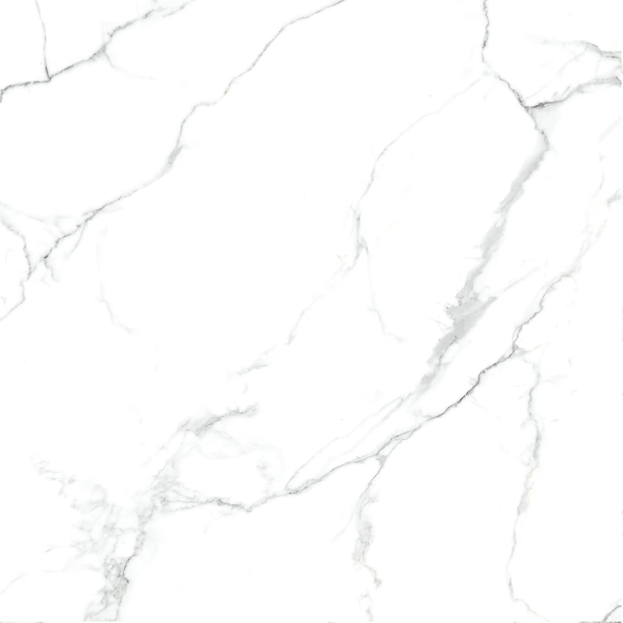 Tile Face  Cosmic White GS881030